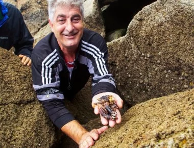 Δάχτυλα του Διαβόλου: Το σπάνιο αλλά θανατηφόρο έδεσμα της θάλασσας (βίντεο)